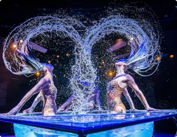 Marcas que nos respaldan a nivel mundial